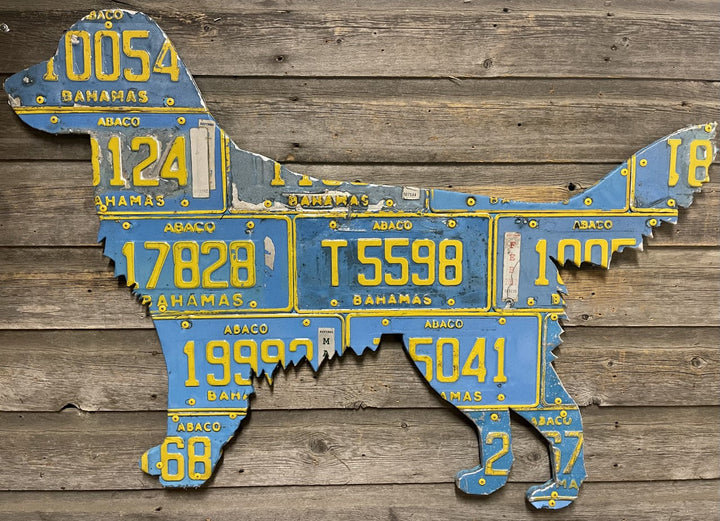 Bahamas Golden Retriever - Madison River Fishing Company