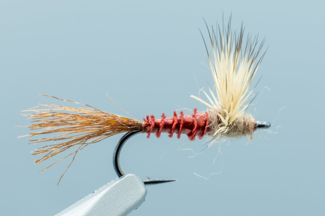Biot Sparkle Dun - Mahogany #16