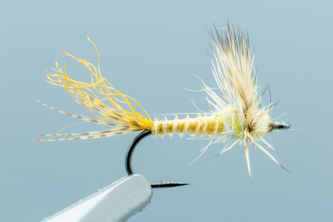Biot Sparkle Dun - PMD Yellow Orange #16