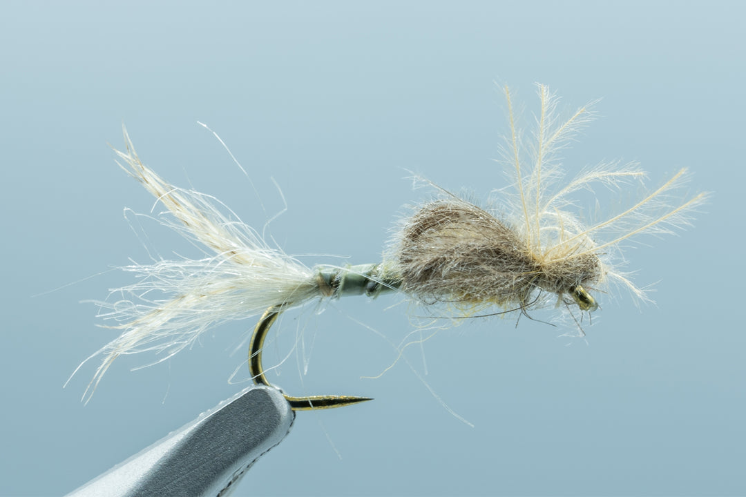CDC Emerger BWO #12