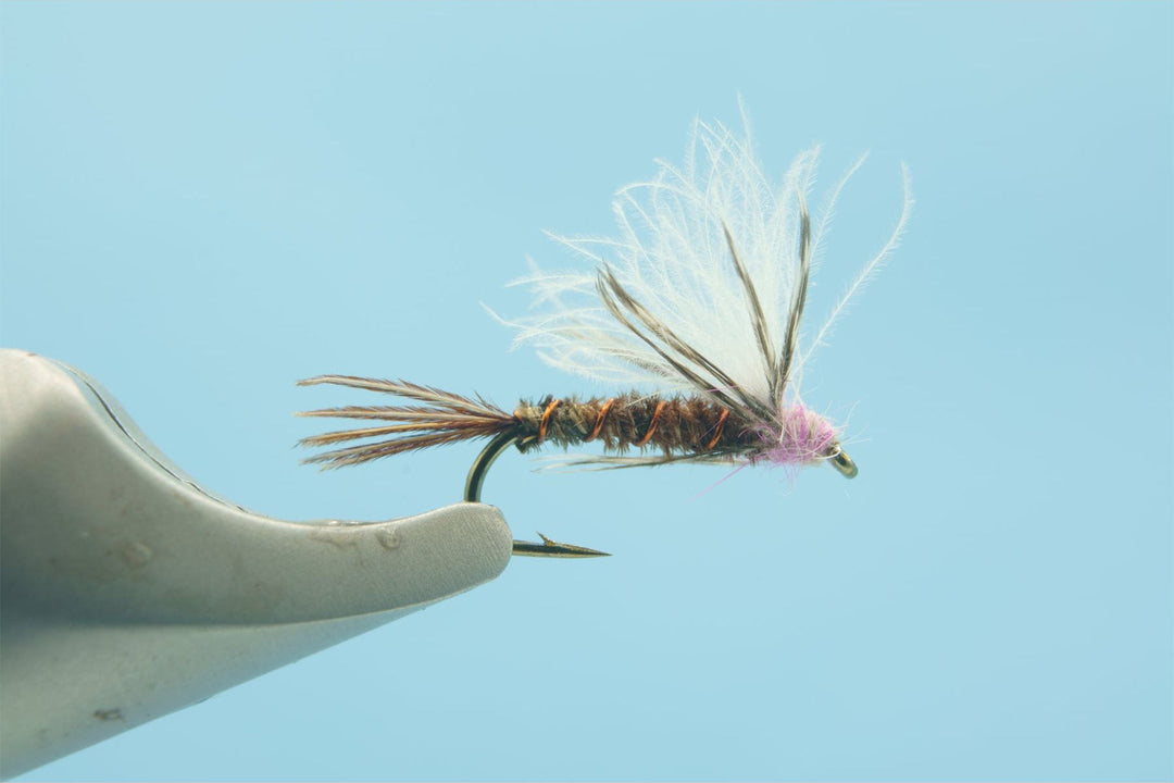 CDC Baetis Emerger Pink - Madison River Fishing Company