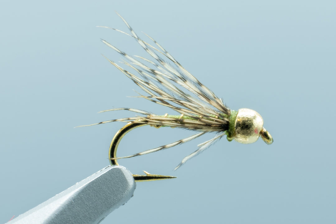 CJ Controller Olive #16