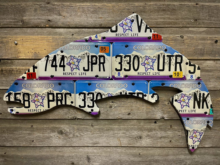 Colorado Columbine Trout License Plate Art - Madison River Fishing Company