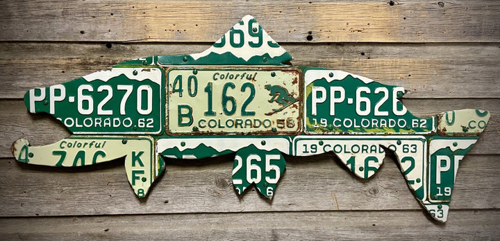 42" Colorado Skier Brown Trout - Madison River Fishing Company