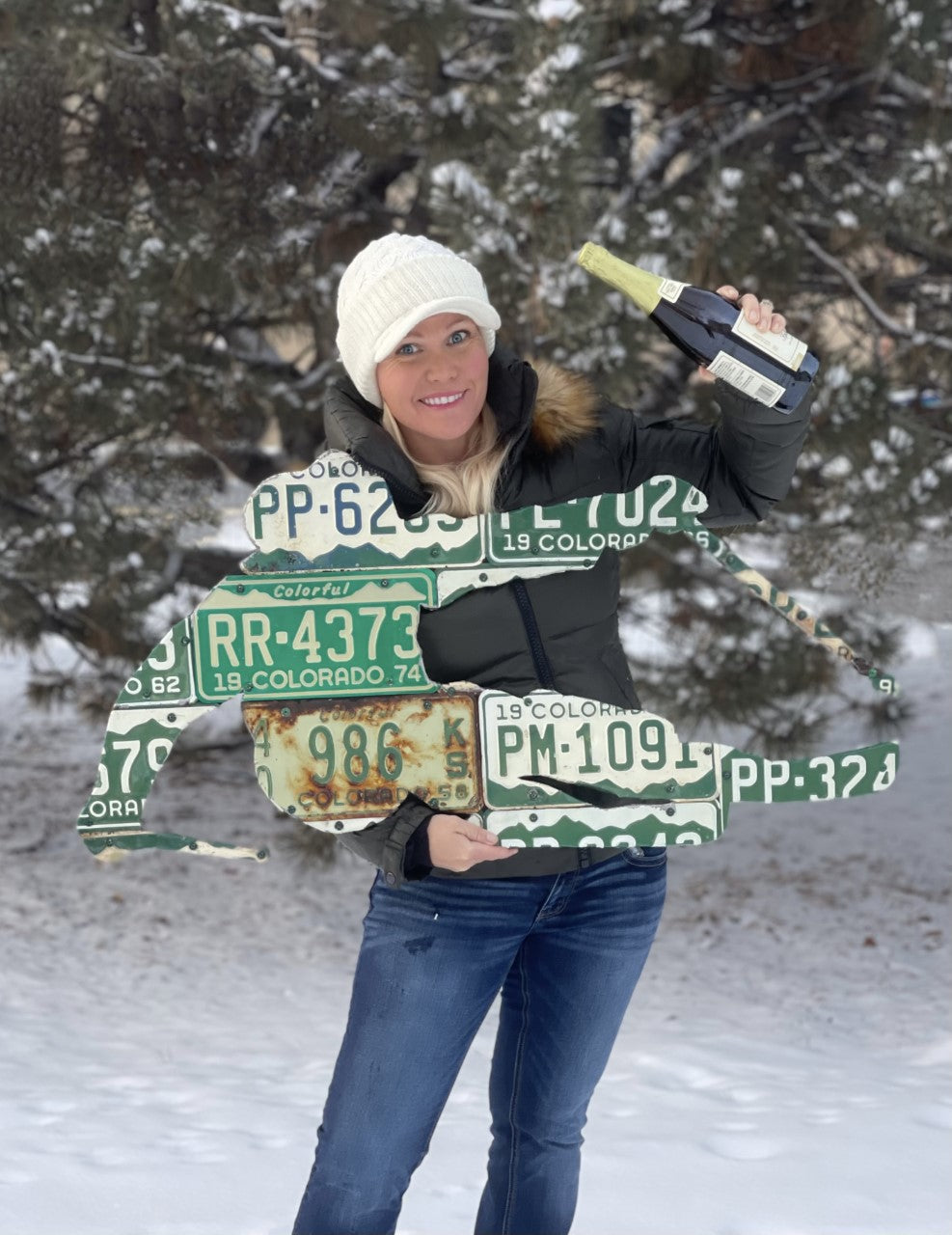 Colorado Vintage Skier