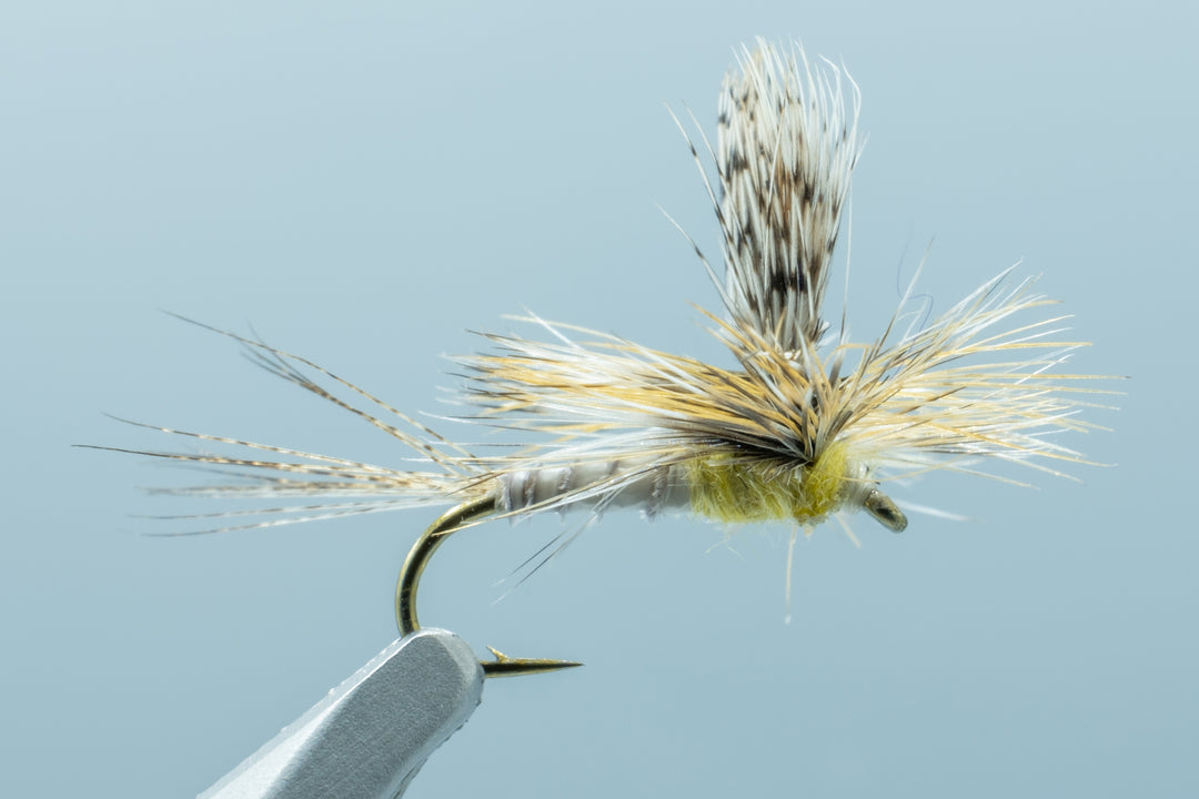 CW Callibaetis Upright Spinner #16