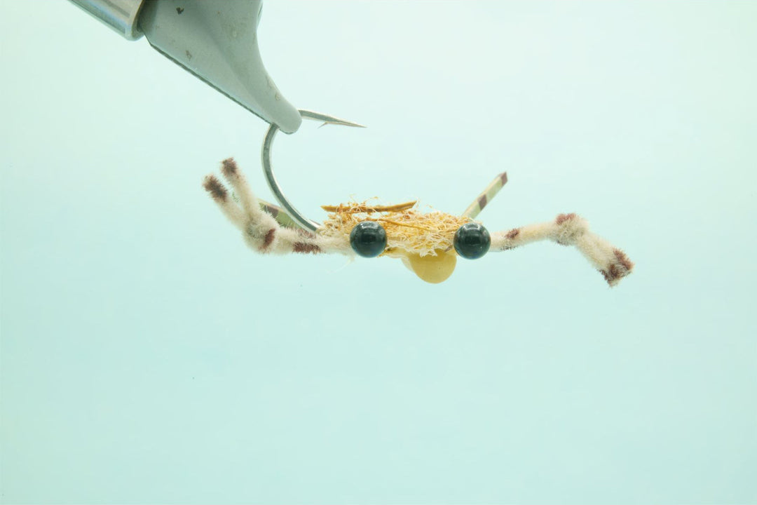 Contraband Crab Tan #4