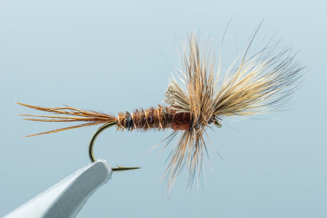 Cripple March Brown #14