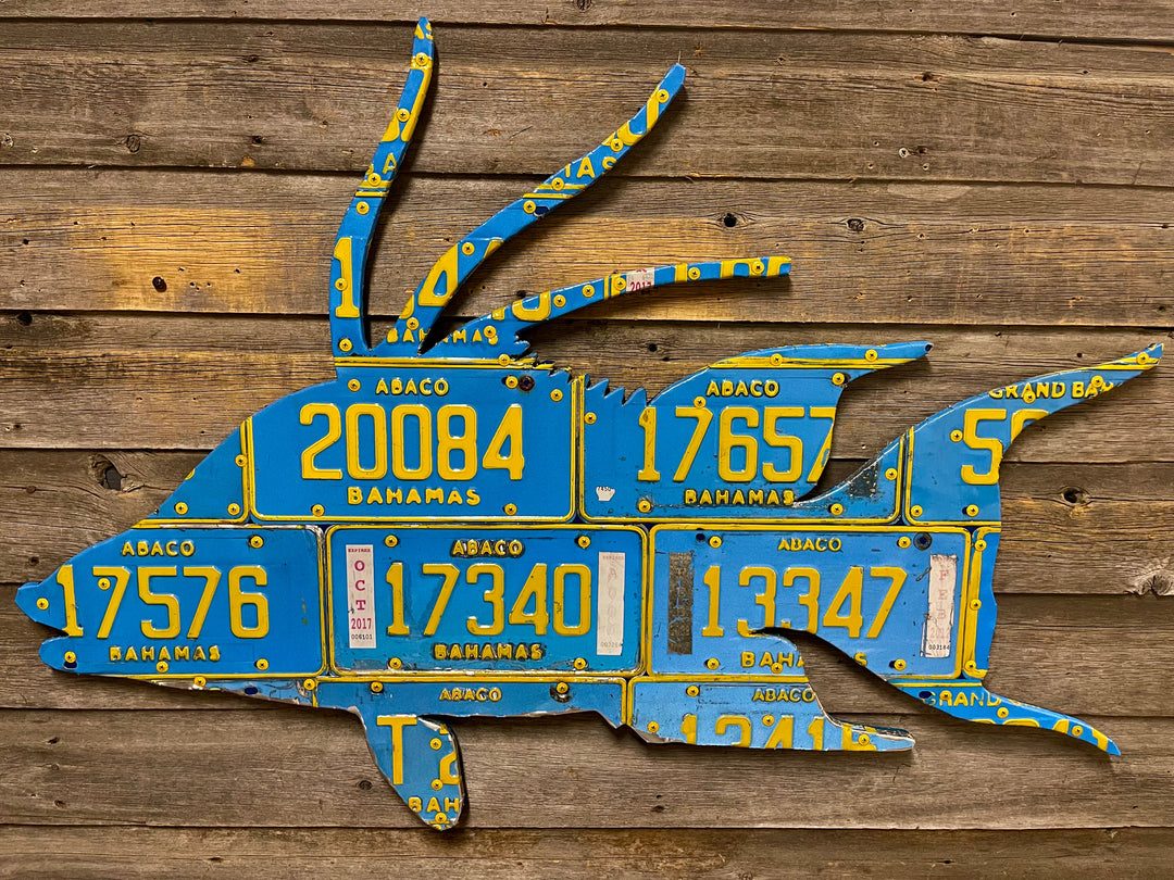 Bahamas Hogfish License Plate Art - Madison River Fishing Company