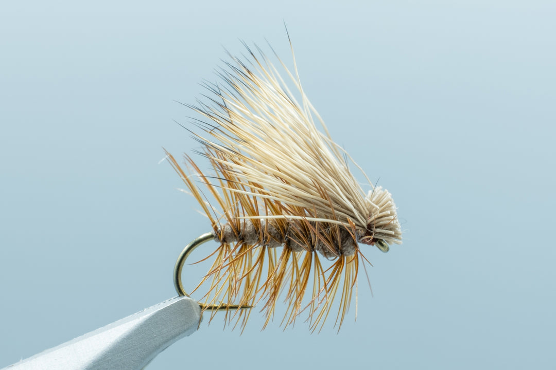 Elk Hair Caddis Foam Body Brown