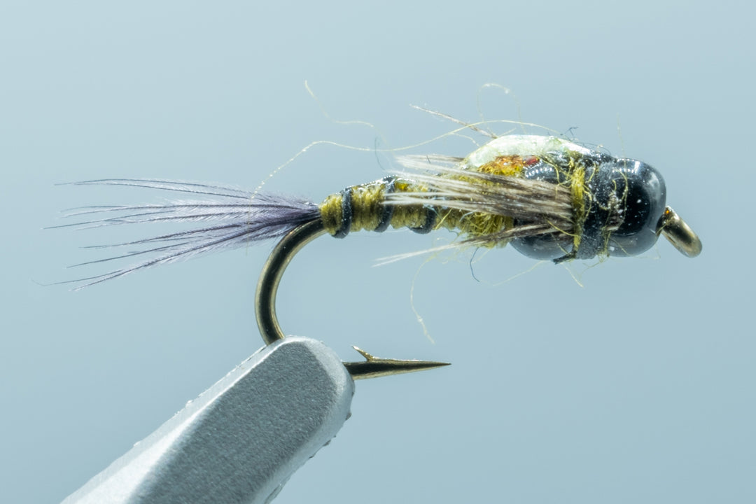 Double Bead Baetis #16