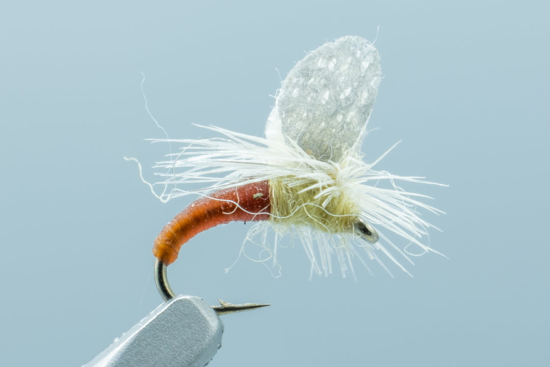 Etha Wing Emerger PMD #18