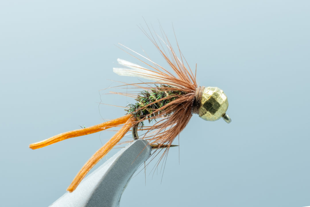 Fastwater Prince #14