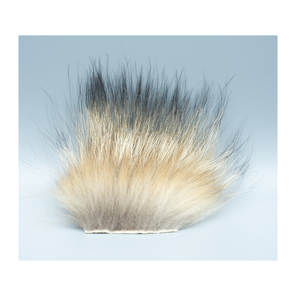 Finn Racoon – Madison River Fishing Company