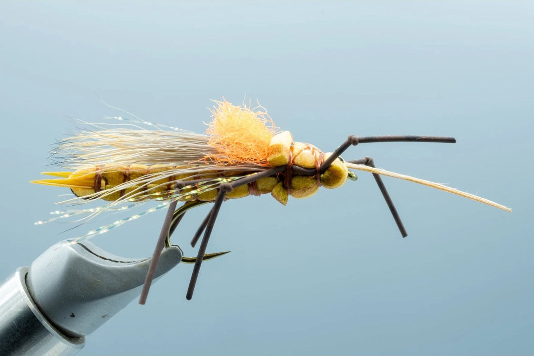 Fluttering Stone Morrish Golden #8