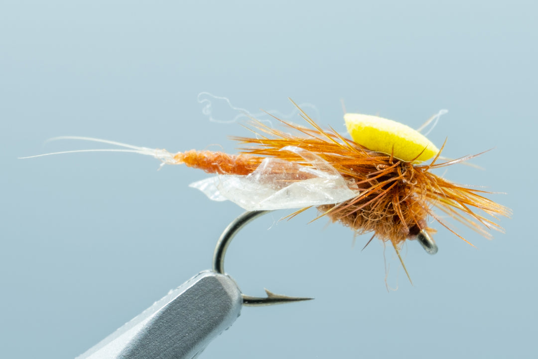 Foam wing Mahogany Dun #16