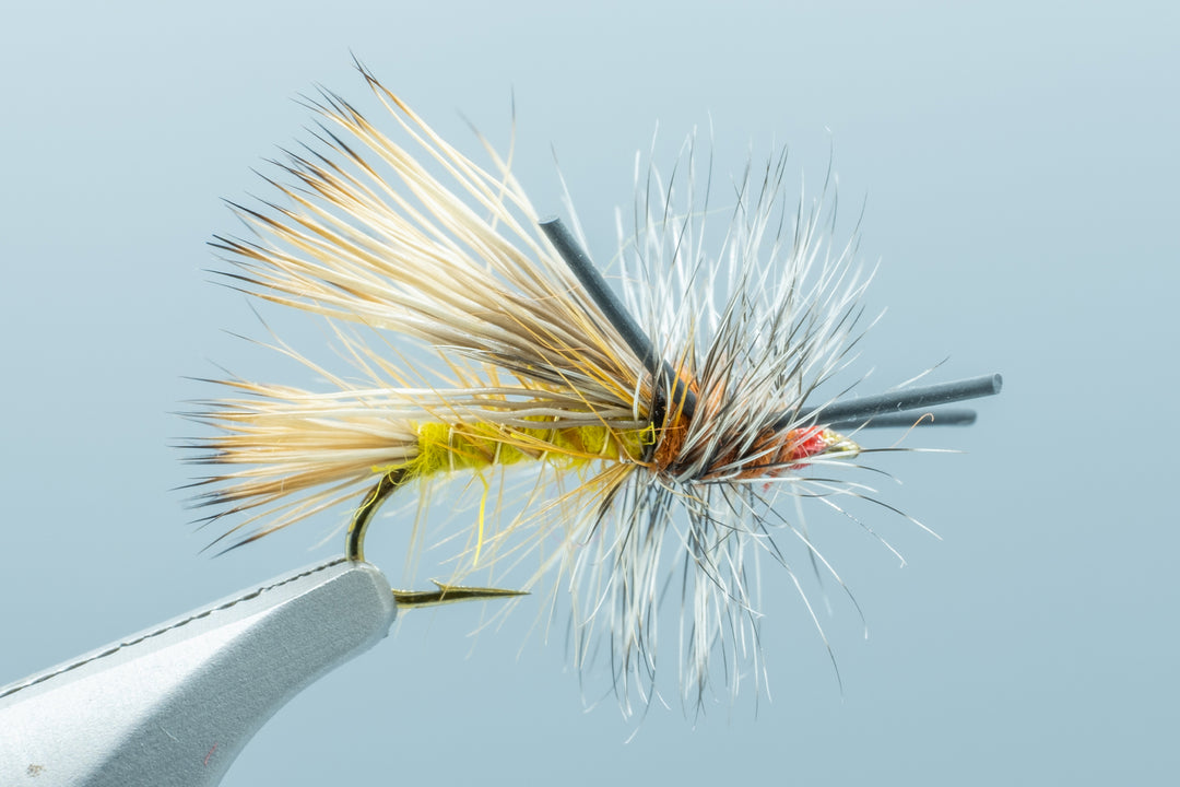 Stimulator Yellow/Orange Black Rubbber Leg #16 - 1 Doz.