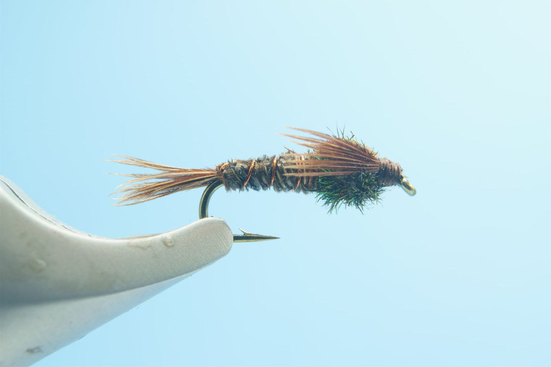 Pheasant Tail - 1 Doz.