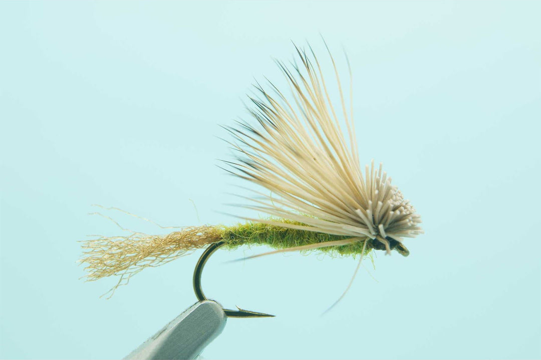 X-Caddis Olive - Madison River Fishing Company