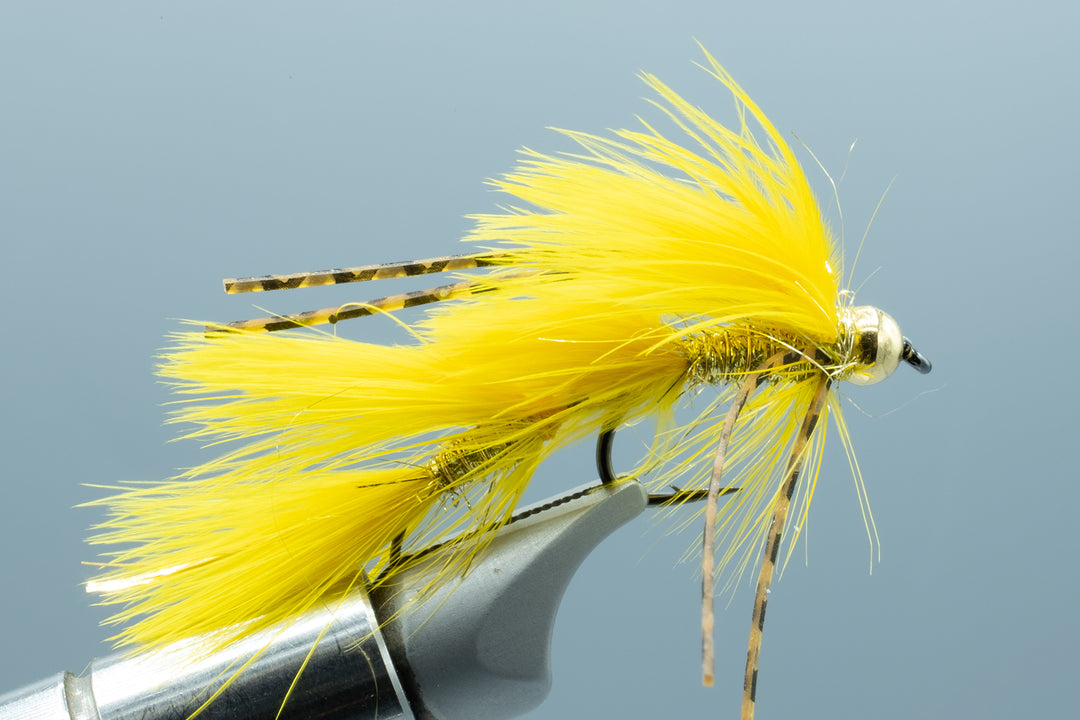 Galloup's Micro Peanut Envy Yellow #10