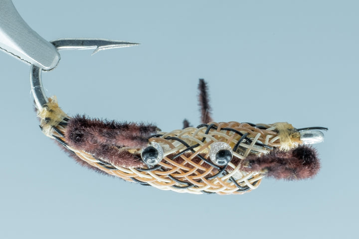 Gerbec's Alphlexo Crab Snake