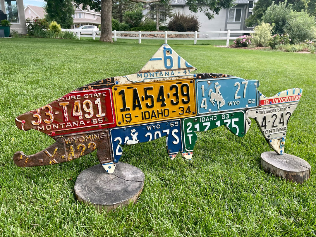 50" Mixed Western Antique Brown Trout - Madison River Fishing Company