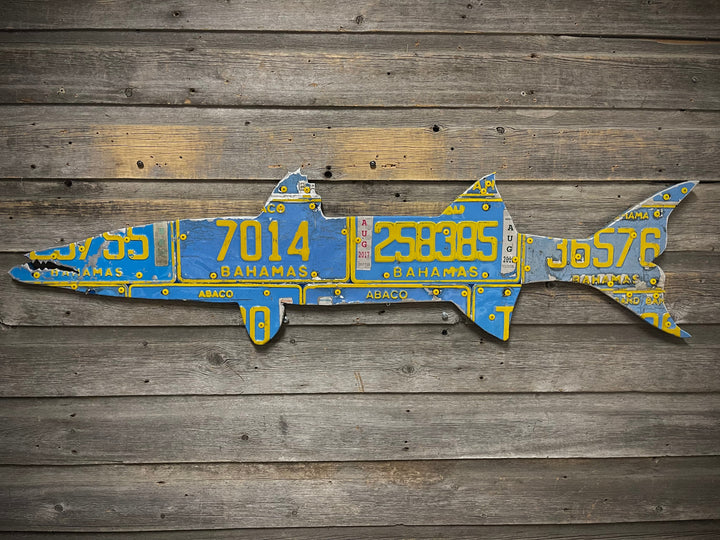 Bahamas Barracuda License Plate Art - Madison River Fishing Company