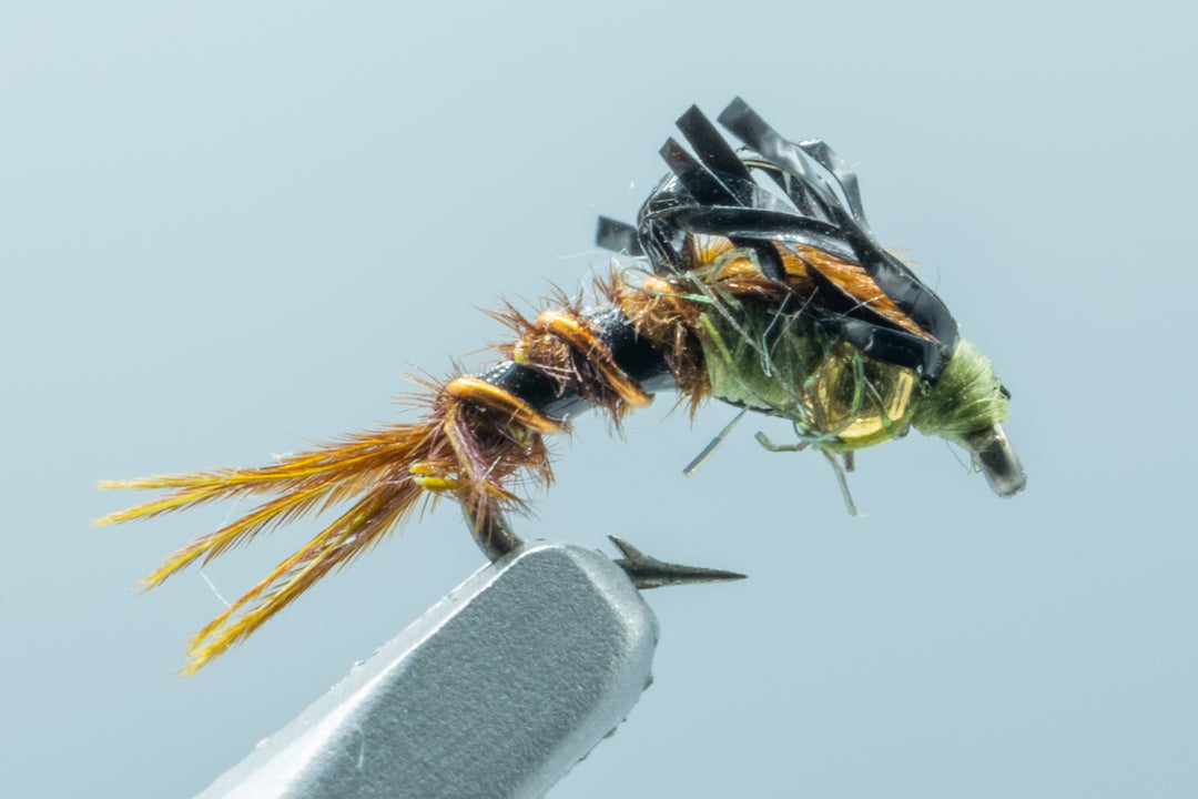 Loop Wing Micro May #18