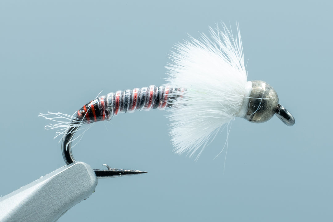 Mayer's Tungsten Titan Tube Midge - Red/Black #14