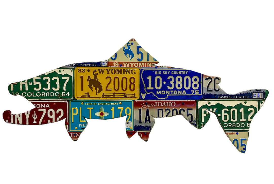 Mixed Western Brown Trout Hat Collection