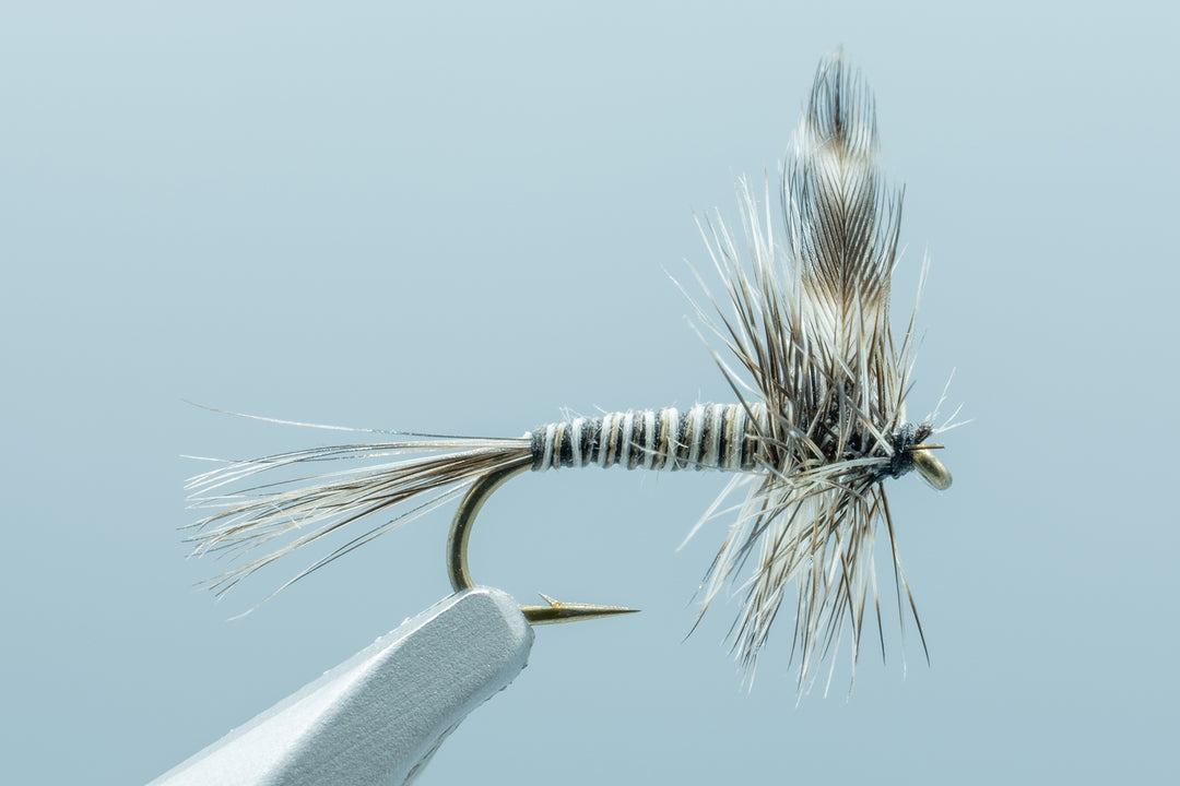 Mosquito Quill #16