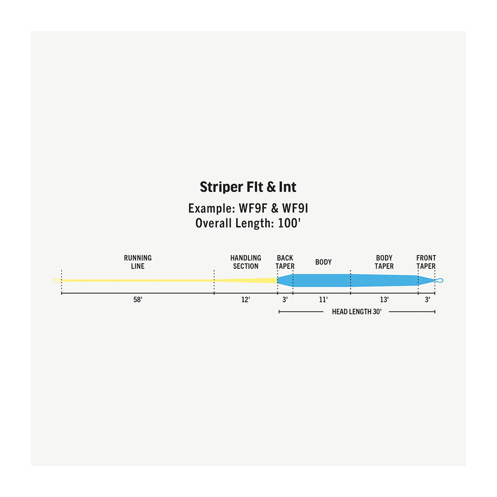 RIO Premier Striper Fly Line