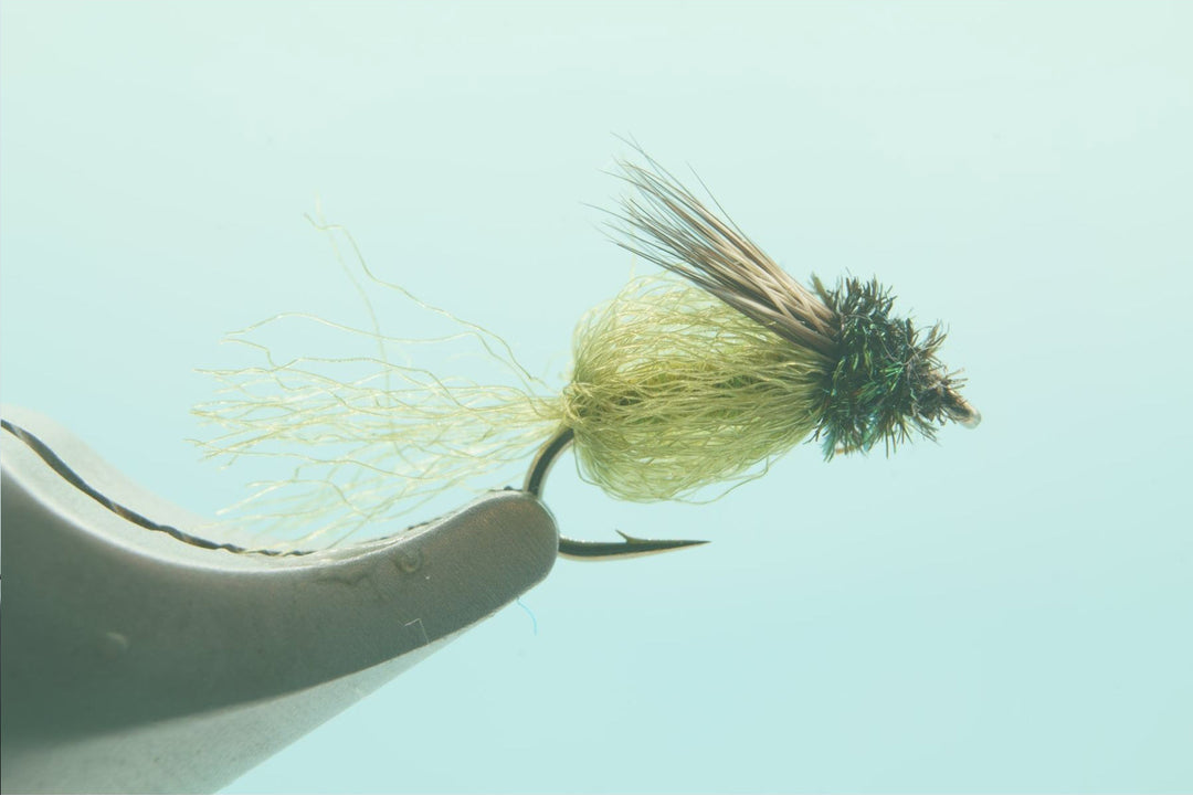 Caddis Sparkle Pupa Olive #16