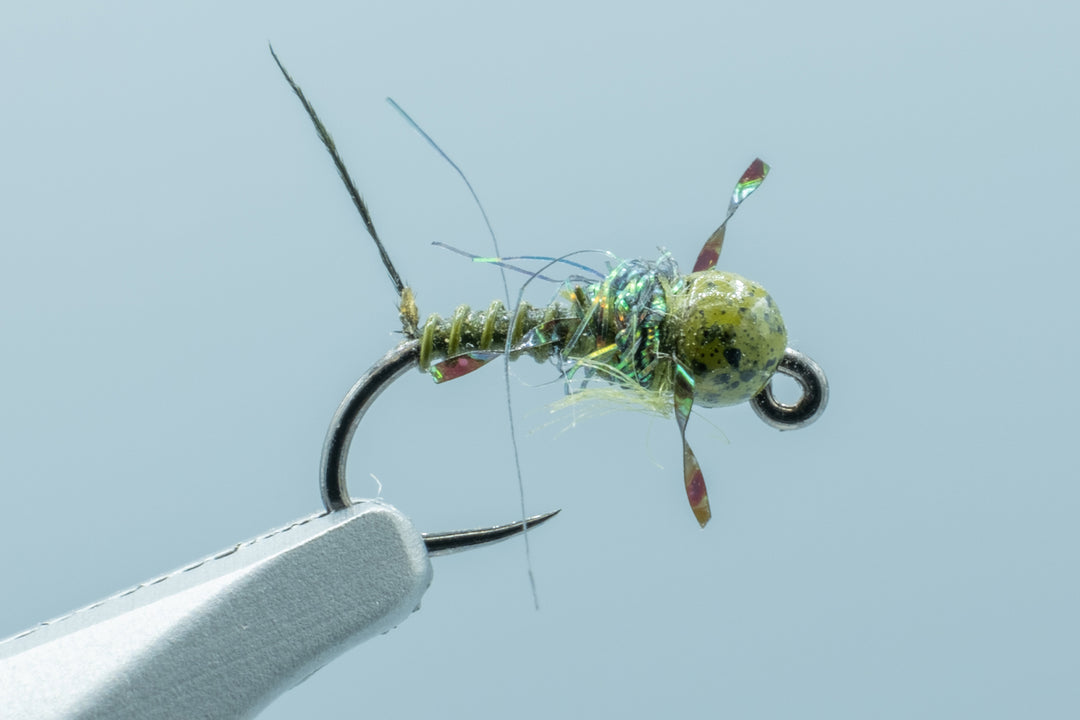 Tung Tied Beatis #18