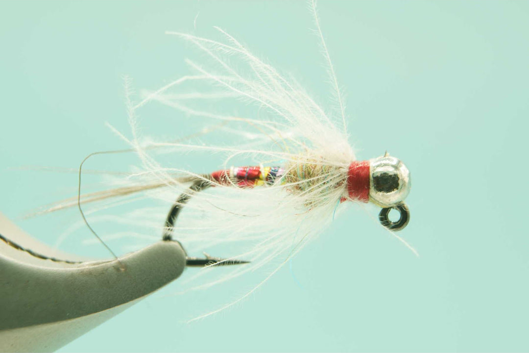 assassin fly reel Averon Streamer and the ACE has become my go KastKing Assassin Carbon Baitcasting Reel