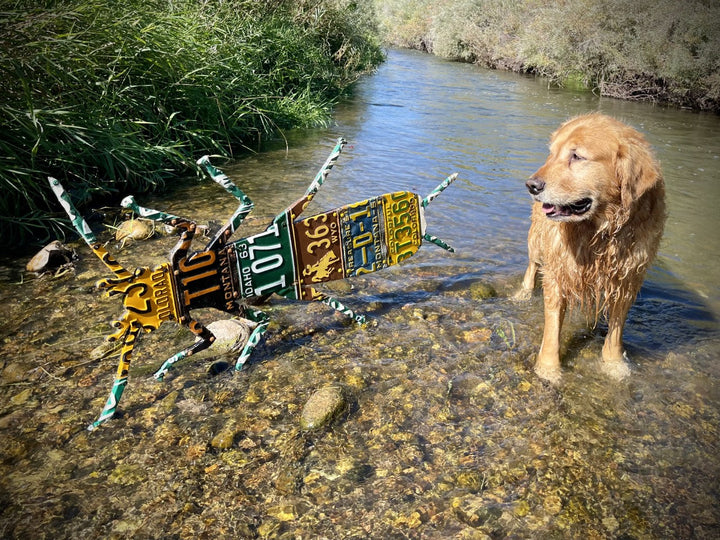 Antique Mixed Western Salmonfly License Plate Art - Madison River Fishing Company