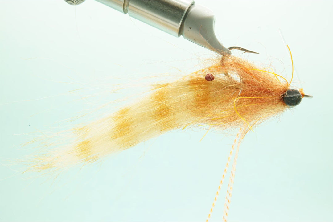 Shrimp Tease - Rust- #2