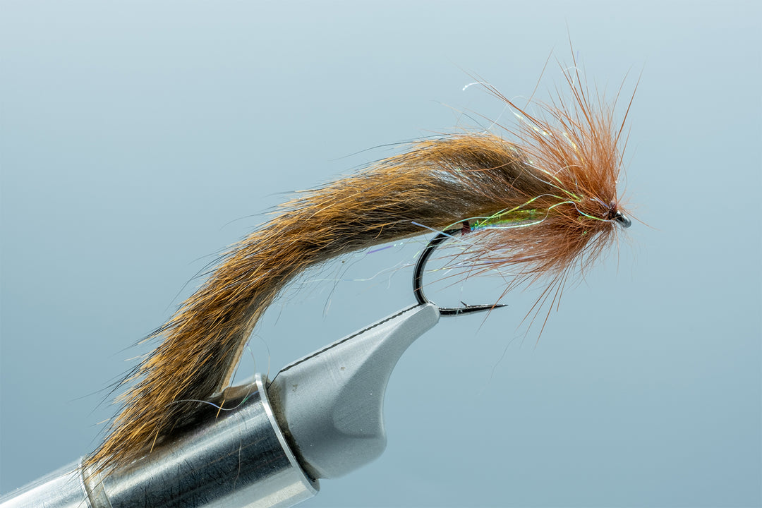 Squirrely Little Bugger - Brown #08