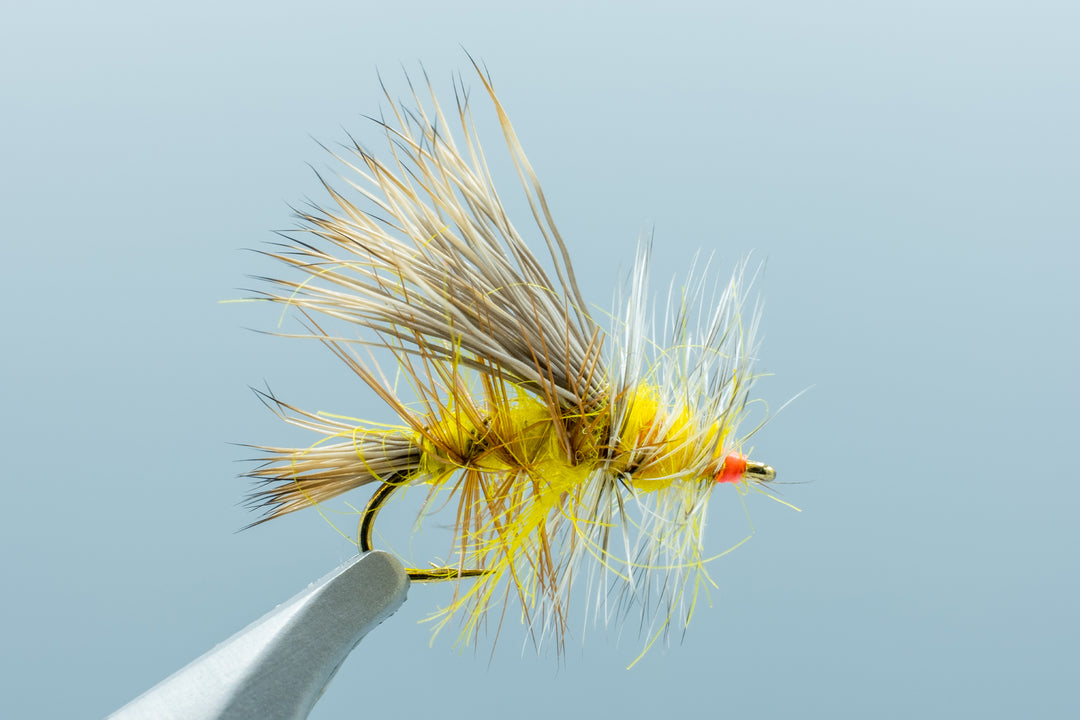 Stimulator Yellow #14