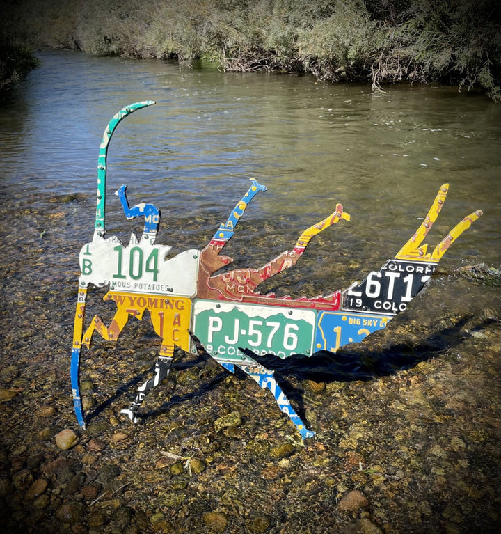 Mixed Western Stonefly License Plate Art - Madison River Fishing Company