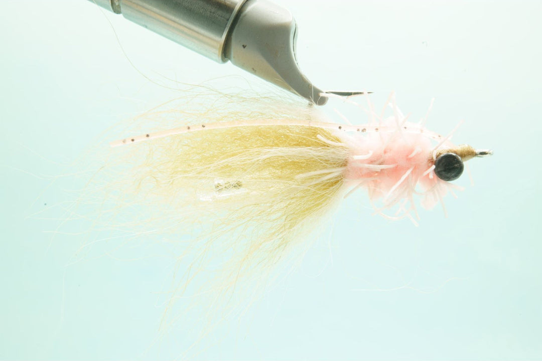 Suppository - Shrimp - #4