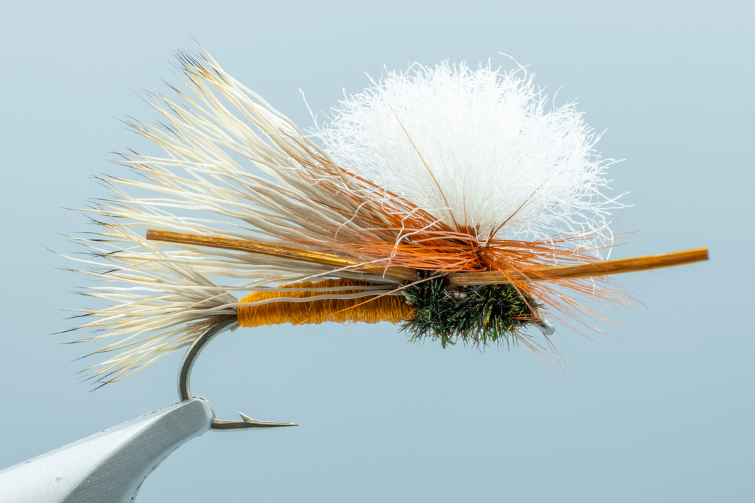 Swisher's PMX Orange #8