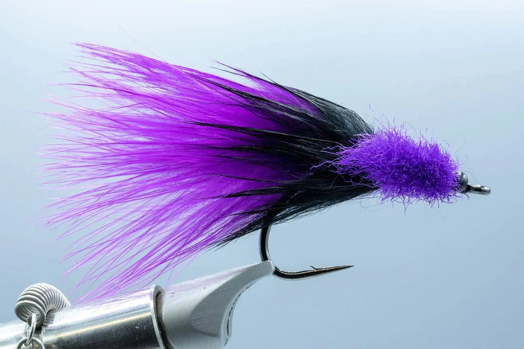 Keys Toad  Purple/Black Small