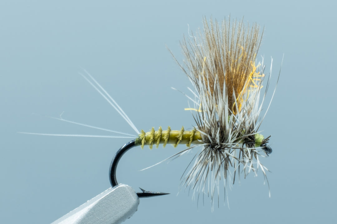 UFM Pederson's 401K Baetis