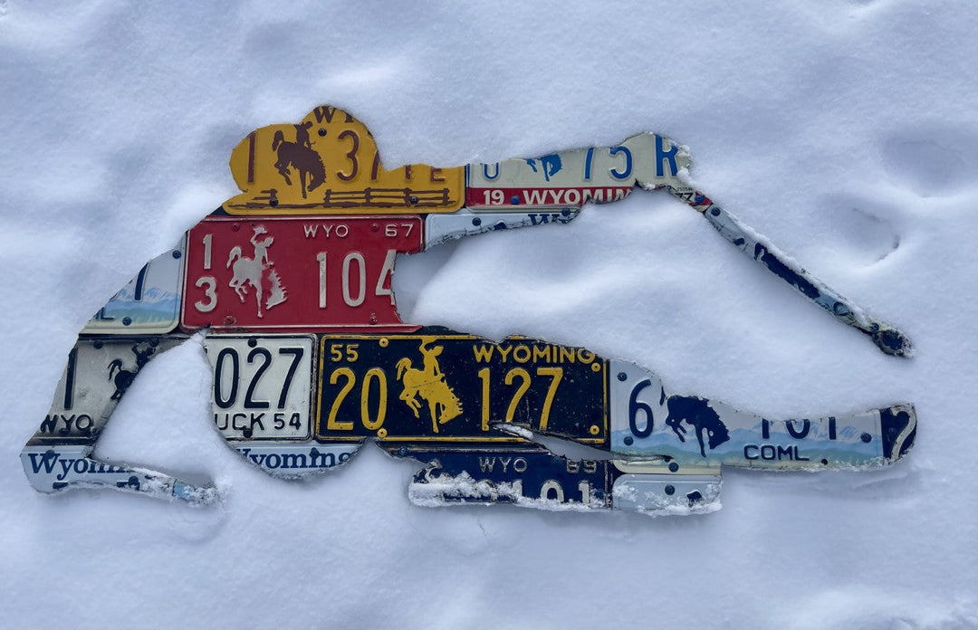 Wyoming Skier