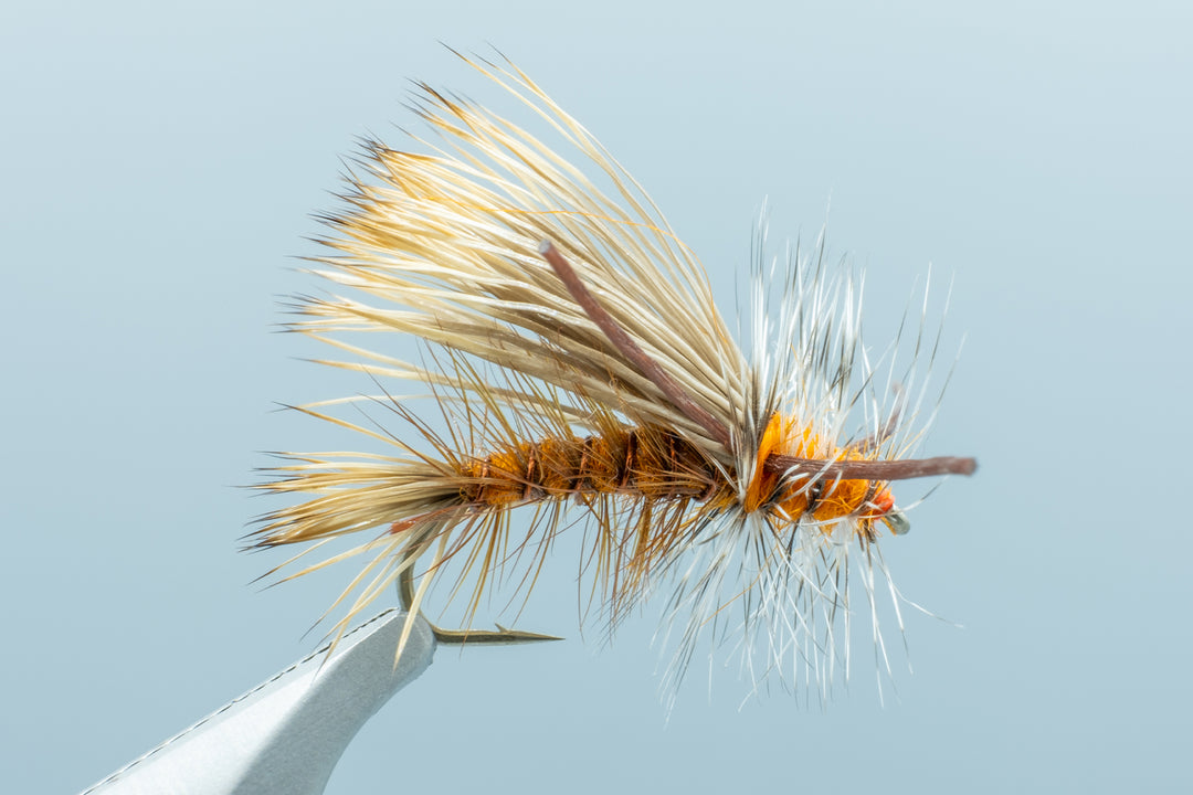 X-Stimulator Orange #12