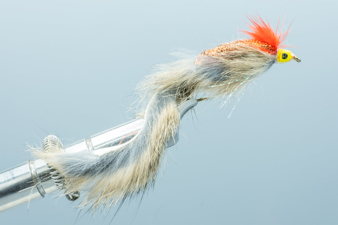 Zonker Copper #4
