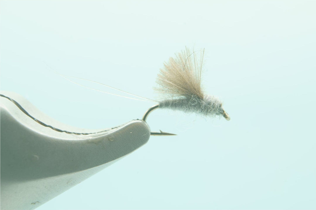 CDC RS2 Grey #18