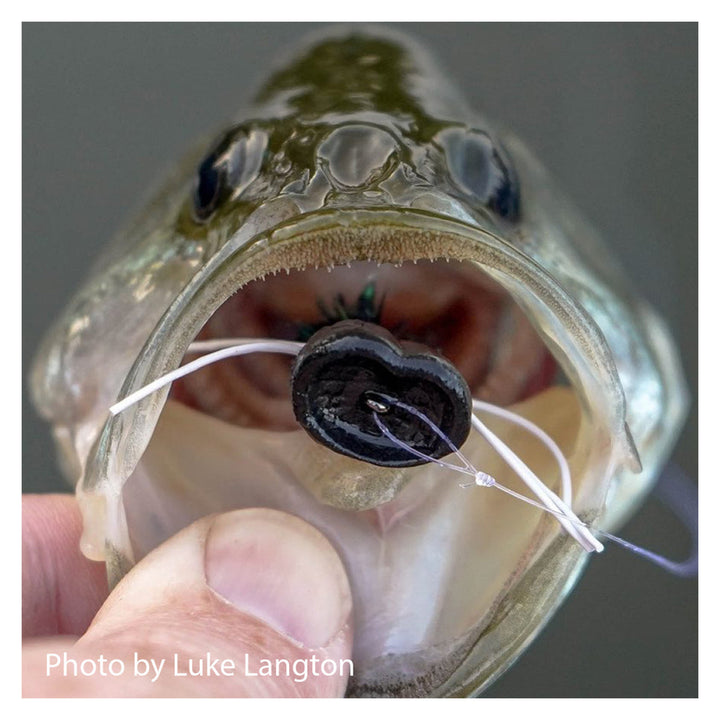 FlyMen Surface Seducer Double Barrel Popper Bodies Orange - Madison River Fishing Company