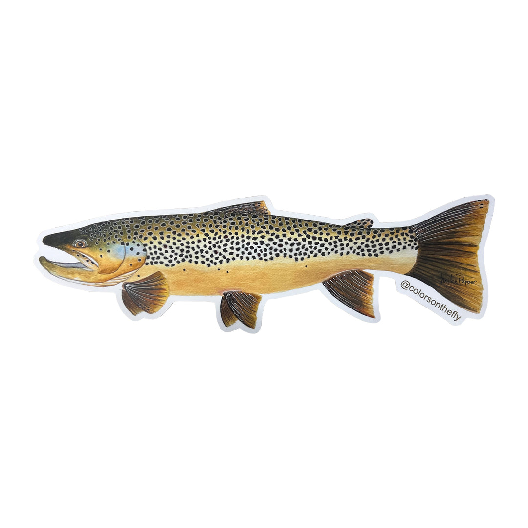 Mike Pepper "Colors on the Fly" 20" Brown Trout Sticker